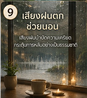 ภาพประกอบแนวตั้งเรื่อง วิธีป้องกัน เสียงฝนตก